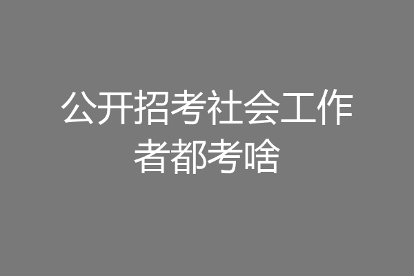 公开招考社会工作者都考啥