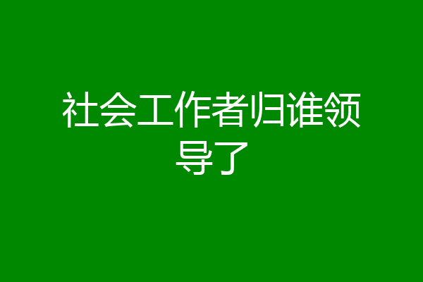 社会工作者归谁领导了