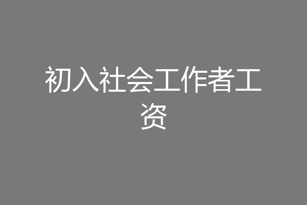 初入社会工作者工资