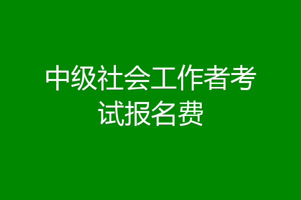 中级社会工作者考试报名费