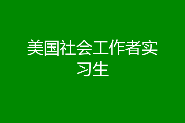 美国社会工作者实习生
