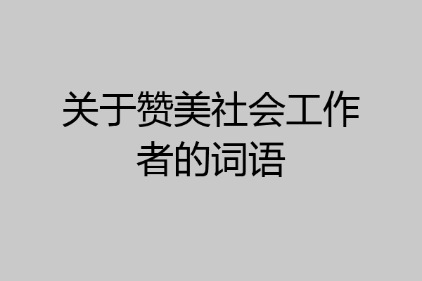 关于赞美社会工作者的词语