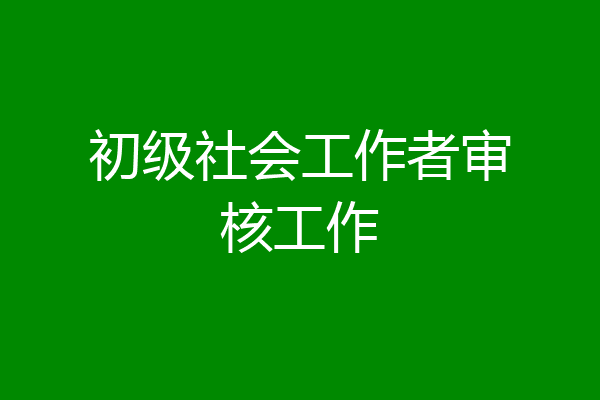 初级社会工作者审核工作