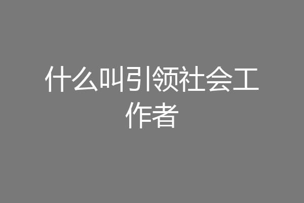 什么叫引领社会工作者