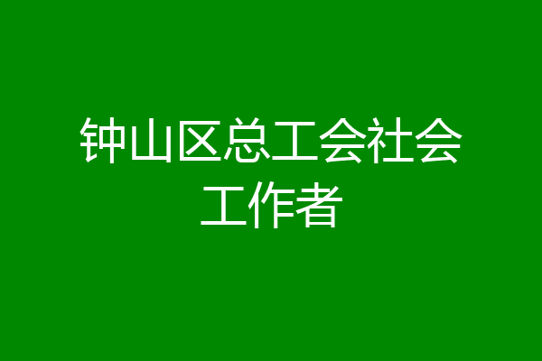 钟山区总工会社会工作者