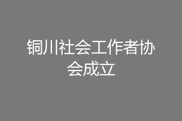 铜川社会工作者协会成立