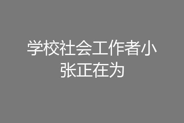 学校社会工作者小张正在为