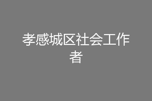 孝感城区社会工作者