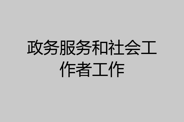 政务服务和社会工作者工作