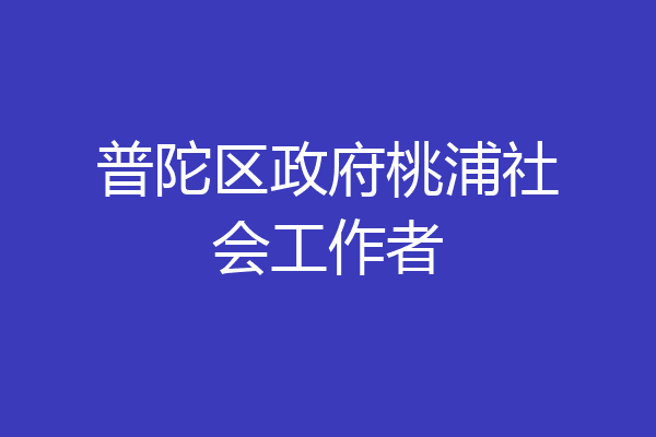 普陀区政府桃浦社会工作者