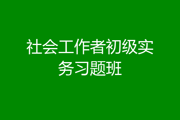 社会工作者初级实务习题班