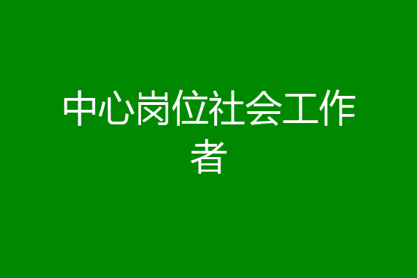 中心岗位社会工作者