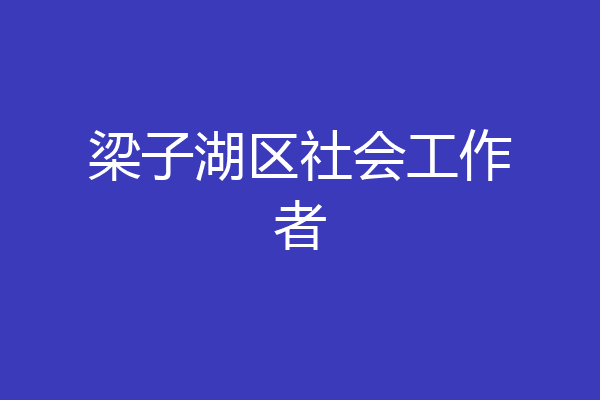 梁子湖区社会工作者