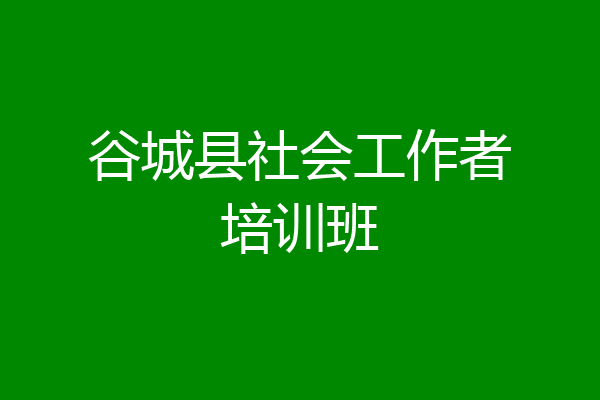 谷城县社会工作者培训班