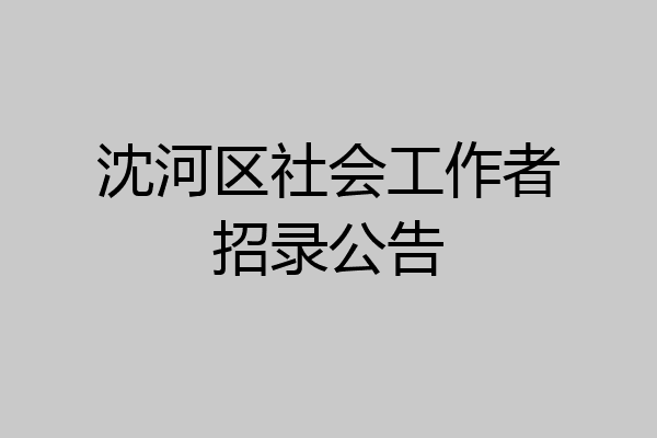 沈河区社会工作者招录公告