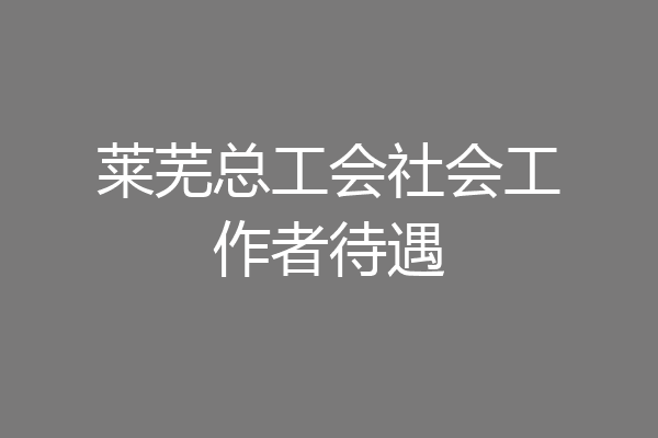 莱芜总工会社会工作者待遇