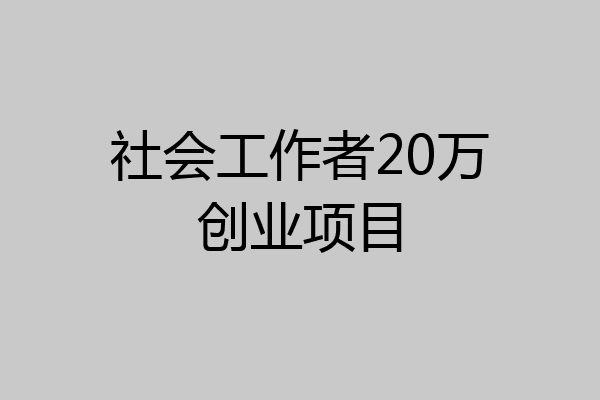 社会工作者20万创业项目