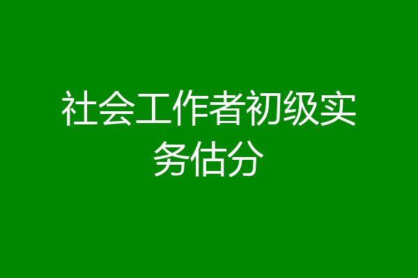 社会工作者初级实务估分