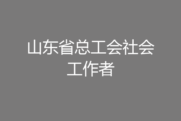 山东省总工会社会工作者