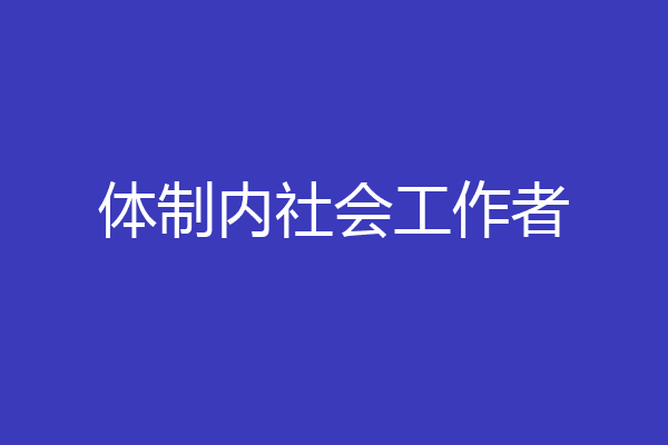 体制内社会工作者