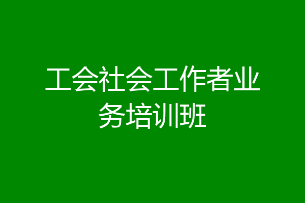 工会社会工作者业务培训班