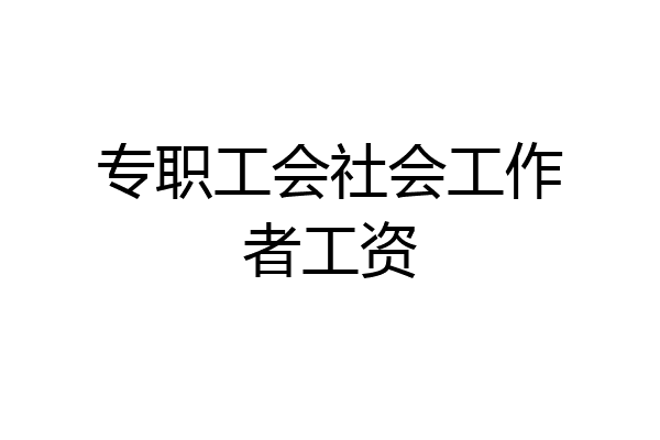 专职工会社会工作者工资