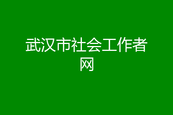武汉市社会工作者网