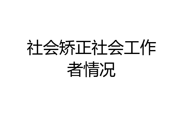社会矫正社会工作者情况