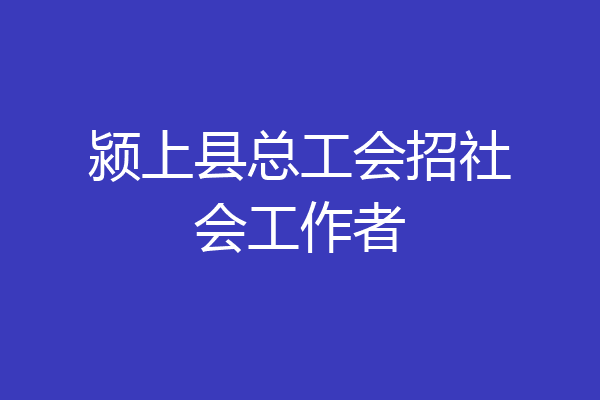 颍上县总工会招社会工作者