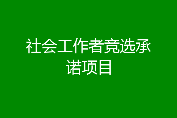 社会工作者竞选承诺项目