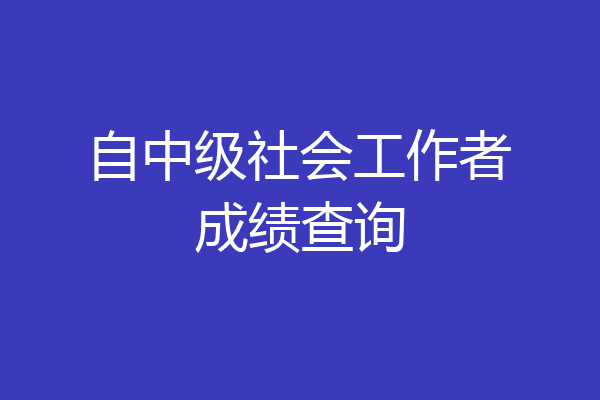 自中级社会工作者成绩查询