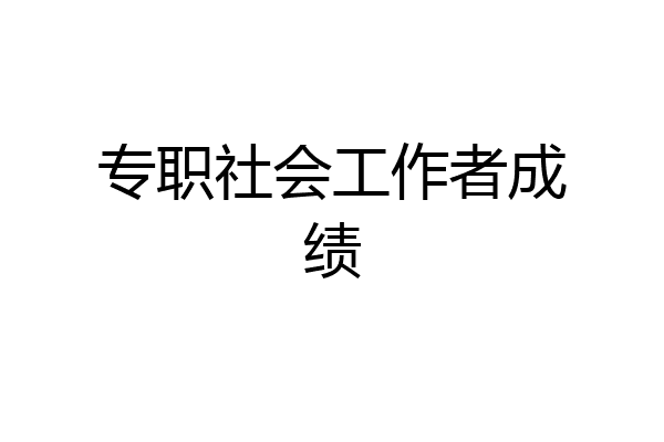 专职社会工作者成绩