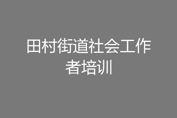 田村街道社会工作者培训