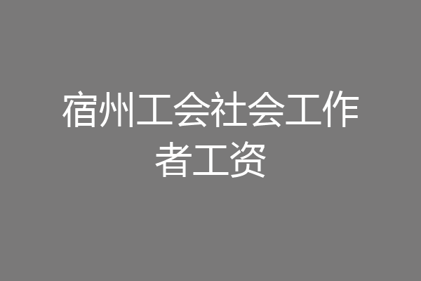 宿州工会社会工作者工资