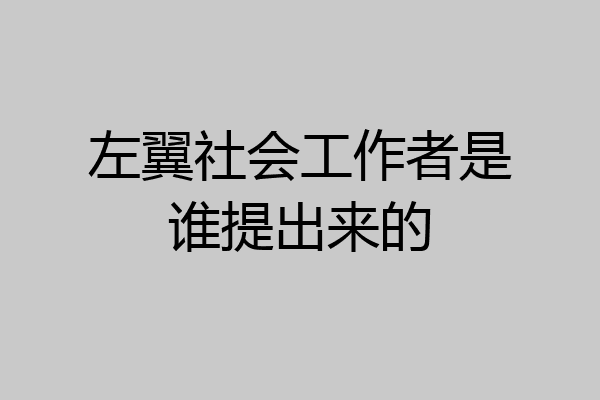左翼社会工作者是谁提出来的