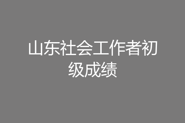 山东社会工作者初级成绩