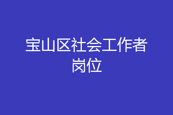 宝山区社会工作者岗位