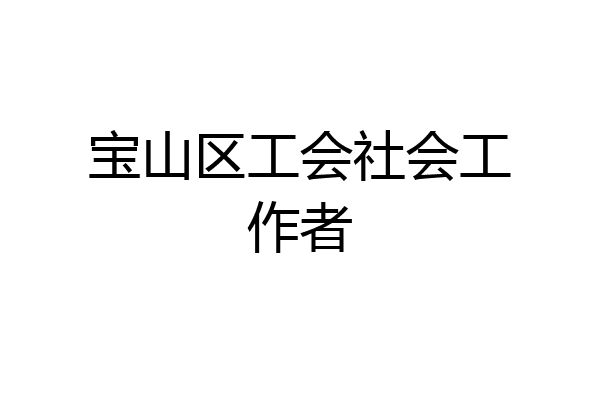 宝山区工会社会工作者