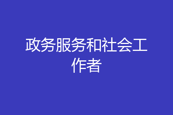政务服务和社会工作者