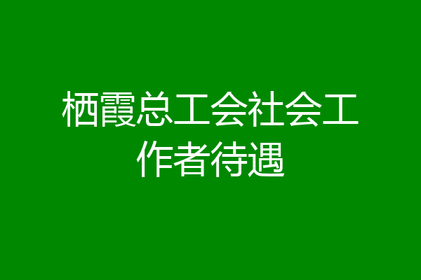 栖霞总工会社会工作者待遇