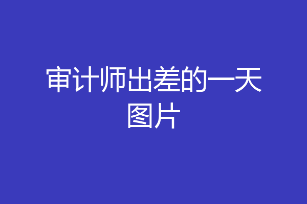 审计师出差的一天图片