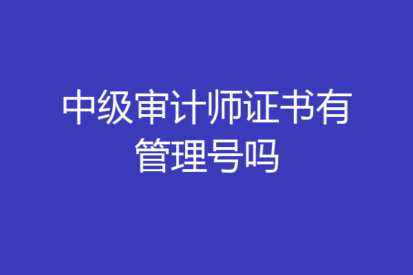 中级审计师证书有管理号吗