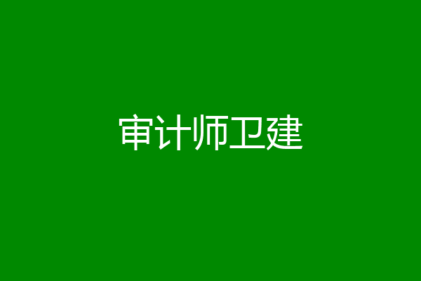 审计师卫建