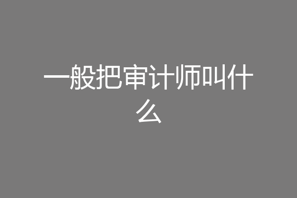 一般把审计师叫什么