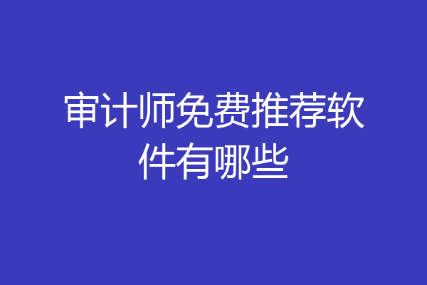 审计师免费推荐软件有哪些