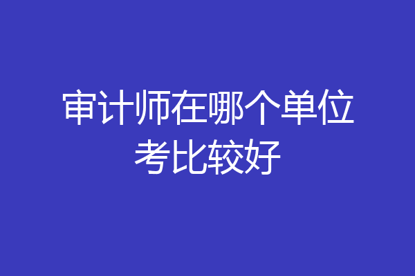 审计师在哪个单位考比较好
