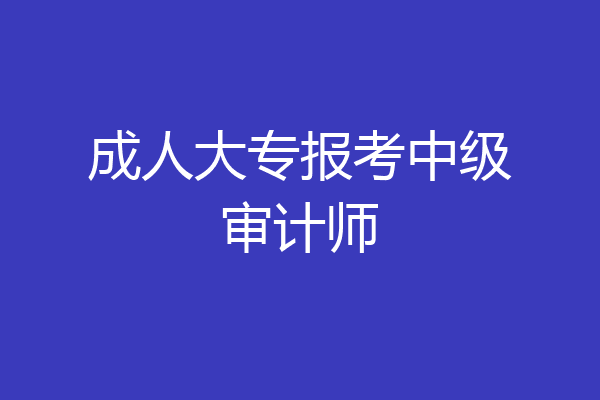 成人大专报考中级审计师
