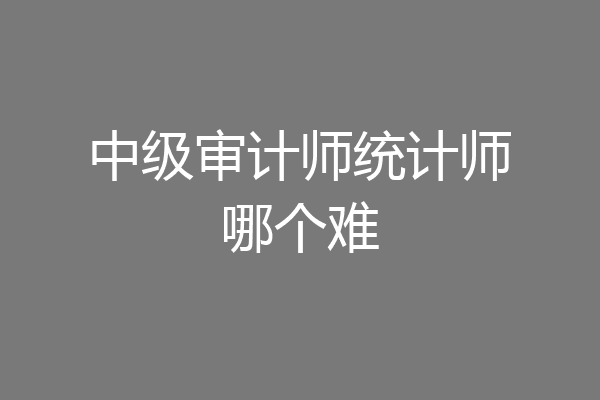 中级审计师统计师哪个难