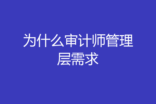 为什么审计师管理层需求