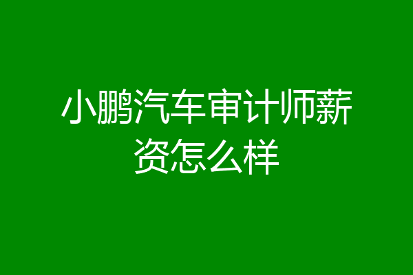 小鹏汽车审计师薪资怎么样
